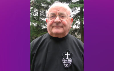 + P. Raffaele Alzini
